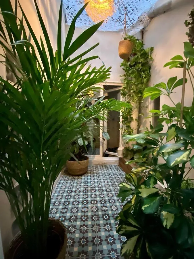 Appartement Haussmannien Rue Pietonne Opera Marseille